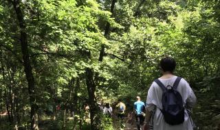 武汉九峰森林动物园怎么样 九峰山森林公园